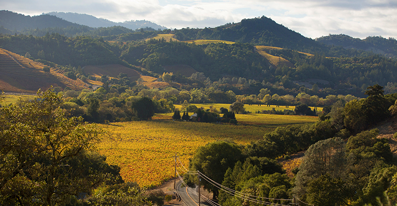 Sonoma County Fall vista of valley vineyards framed by mountains in the background