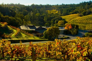 Pedroncelli Winery in the fall.