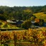 Pedroncelli Winery in the fall.