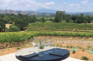 Glasses set up for a private tasting overlooking a vineyard