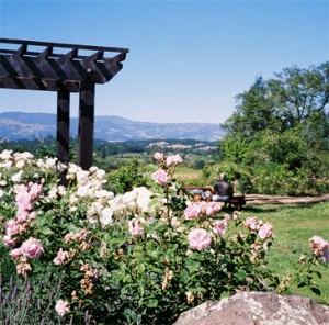 Garden and picnic area along the Wine Road