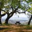 Picnic area with a panoramic view above Lake Sonoma in Dry Creek Valley.