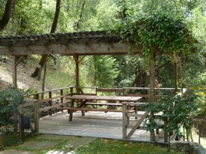 Picnic area at Thomas George Estate in Sonoma County's Russian River Valley