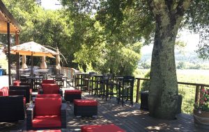The picnic area at Wilson Winery in Sonoma County's Dry Creek Valley