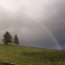 Rainbow over ACORN Wineries Alegria Vineyards