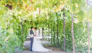 The wedding couple's magic moment at Trentadue Winery.