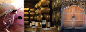 Check out Alexander Valley Vineyards winery & cave tour--it's complimentary!
