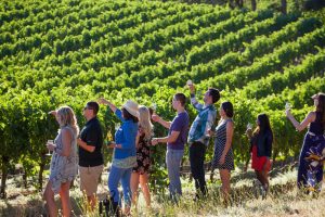 Group of people holding wine glasses in a vineyard