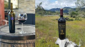 Compiled photo of a bottle of Blue Rock red wine and a bottle of Lago di Merlo