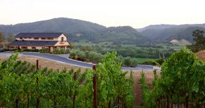 Trattore Winery in Dry Creek Valley