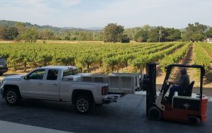 Zialena Winery loading grape bins for harvest