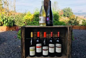 Mounts Family Winery's Rhone wines with a picturesque background