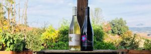 Mounts Family Winery's Verah wines are delicious Rhone varietal blends.