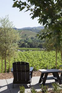 A chair and table looking out over a summer view in Dry Creek Valley from Cast Winery.