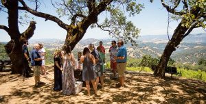 A gathering of people at the picnic area at Gustafson Winery with the view of Lake Sonoma in the background.