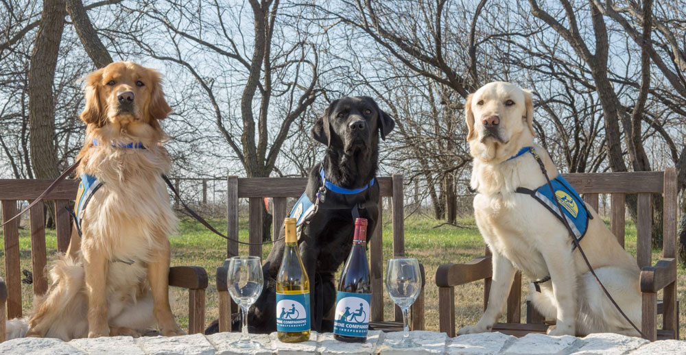 Three Canine Companions sitting behind a bottle of red and a bottle of white wine, and two empty wine glasses.