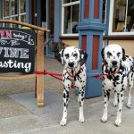 The List for Dog Visitors Along the Wine Road