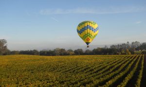 Enjoy a hot air balloon ride over the vineyard.