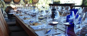 Enjoy a wine tasting and cheese pairing on the deck at Papapietro Perry.