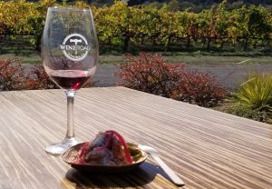 Wine and food pairing option during the 2018 Wine & Food Affair