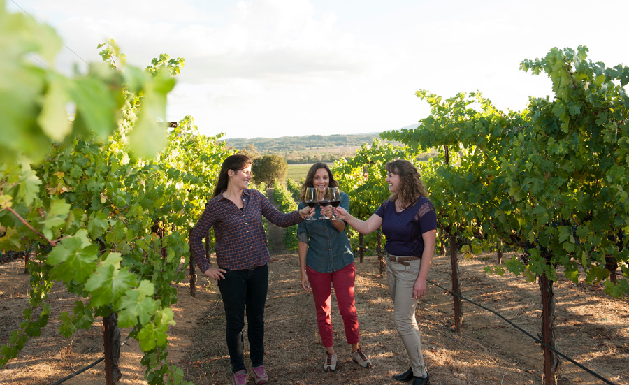 Three woman toasting in a Sonoma County vineyard