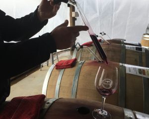 Winemaker removing wine from a barrel with a wine thief during Barrel Tasting.