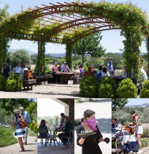 Composite of tasting photos from Bricoleur Vineyards, showing safe distancing and staff and visitors wearing masks.