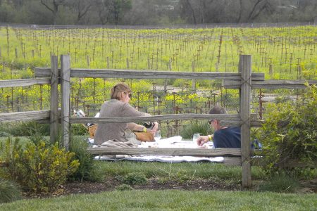Winter-picnic-by-mustard-filled-vineyard