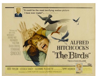A vintage poster of Alfred Hitchcock's The Birds