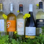 Sauvignon Blanc: Varietal of the Month