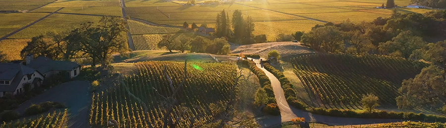 Aerial photo of vineyard filled landscape