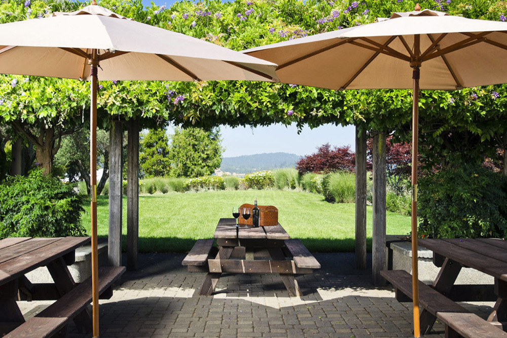 Umbrellas, picnic tables, and a picnic with wine under an arbor