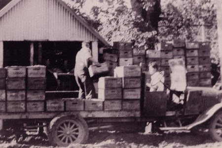 Sepia toned photo of people unloading wooden crates from a truck.