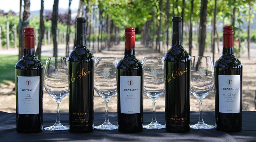 Bottles of Trentadue wines lined up with the vineyard in the background.