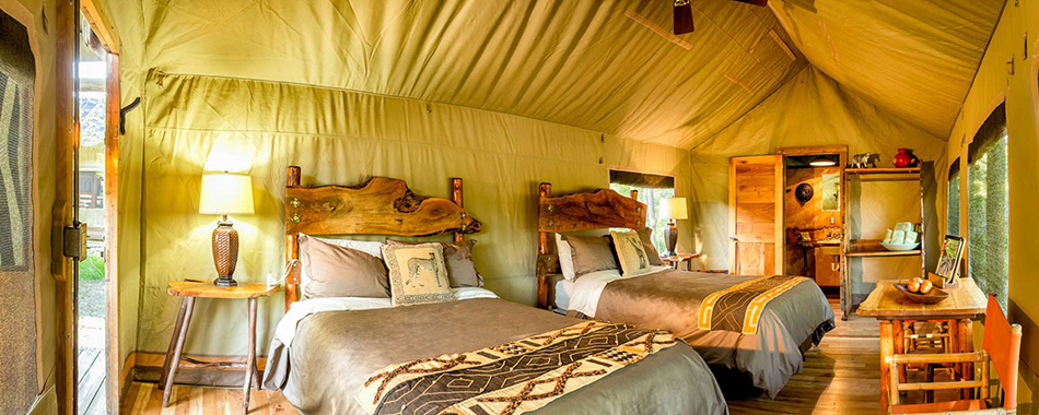 The inside of a tent at Safari West, with two queen beds, two bed stands with lamps, a table with chairs, a shelf, and the open door to a bathroom.