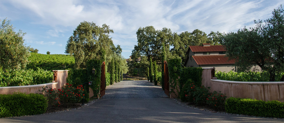 A entrance and driveway with a rounded stone wall covered with bushes. A tree lined driveway with a building on the left and vineyards on the right. Further back are lots of trees.