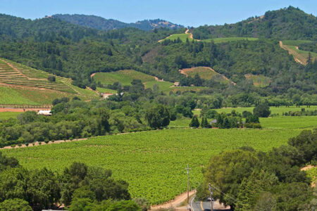 Summer photo of Dry Creek Valley with lots of green vineyard and tree-lined hills in the background.