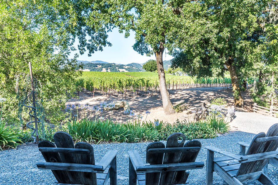 Aged Adirondack chairs facing trees and a vineyard with rolling hills in the background.