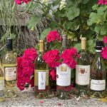 Varietal of the Month: Sauvignon Blanc