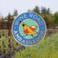 A circle with a stylized quail holding a wine bottle. Around the edges of the circle are the words Wine Road Ambassador There is a fuzzy image of a vineyard in spring in the background.